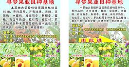 寻梦果业良种基地图片