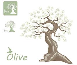 橄榄油包装图片