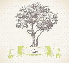 橄榄油包装图片