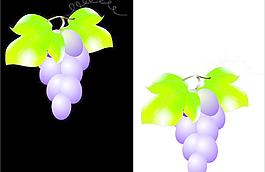 矢量葡萄图图片