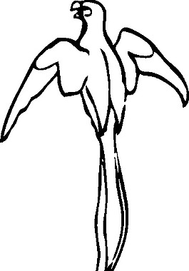 鹦鹉剪贴画