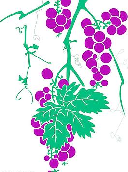 葡萄矢量图图片