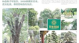 华雅花园房地产画册PSD分层
