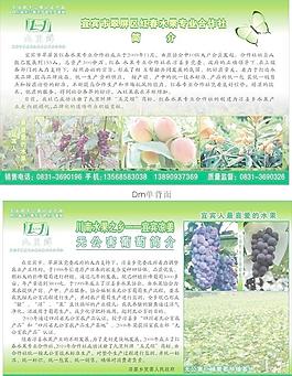 农产品宣传单图片