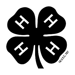 4 H 1
