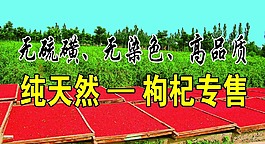干果店招牌