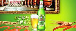 青岛啤酒图片