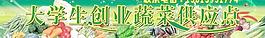 大学生创业蔬菜供应点图片