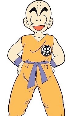 001龙珠小林