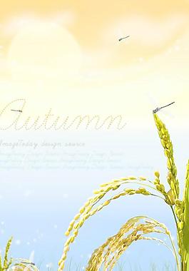 秋天金黄颗粒稻穗PSD分层素