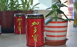 加多宝图片
