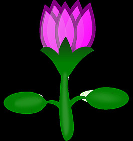 莲花