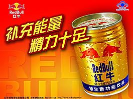 红牛常规图片