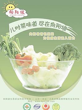 有机蔬菜宣传推广PSD分层素