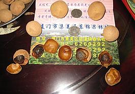 凤梨穗桂圆干 龙眼干图片