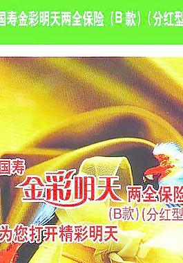 金彩明天图片