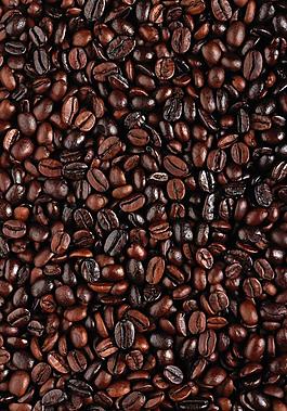 咖啡豆图片