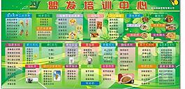 台湾手摇奶茶图片