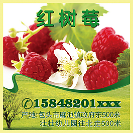 树莓标签