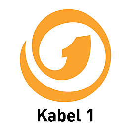 该1 1