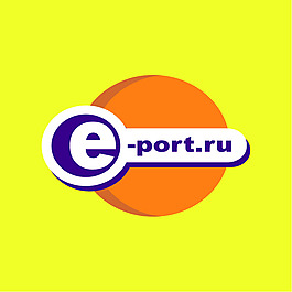 E 0端口