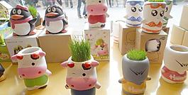 玩具型牧草图片