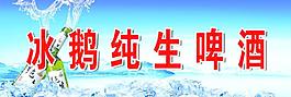 冰鹅纯生啤酒图片