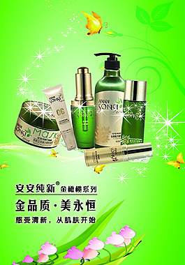 安安纯新 金橄榄