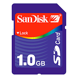 SanDisk 1
