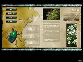 自然科普信息网页模板