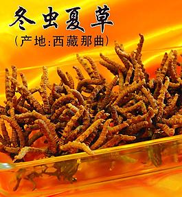 补品海报图片