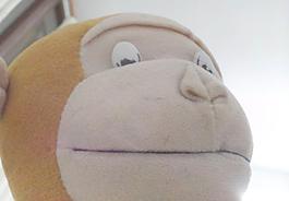 精灵 俏皮 猴子图片