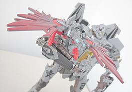 激光鸟和红蜘蛛图片