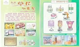 兰草花加香屋 dm宣传单图片