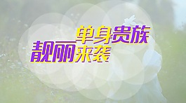 单身贵族