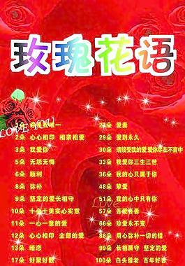 玫瑰花语图片