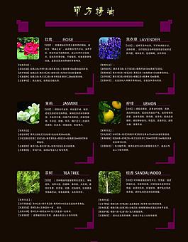 化妆品 护肤品画册设计图片