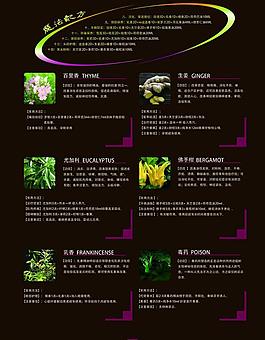 化妆品 护肤品画册设计图片