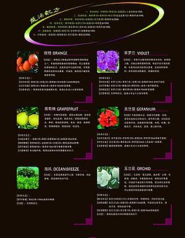 化妆品 护肤品画册设计图片