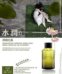 美植兰豆瓣形象图 艾地苯图片