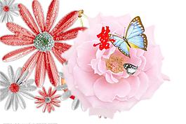 蝴蝶  玫瑰 牡丹 杜鹃 喜字 分层图片