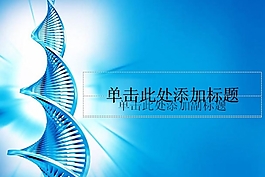 精美背景ppt模板