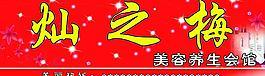 灿之梅图片