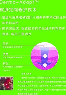 欧瑞莲 oriflame图片
