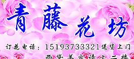 青藤花坊图片