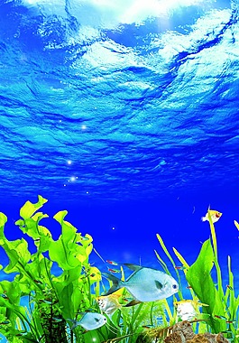 海底世界