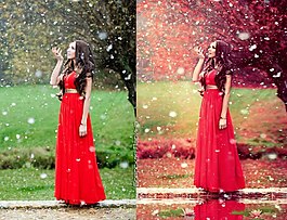 花下美女