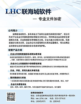 软件公司文字介绍型彩页