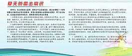 夏天防雷击图片