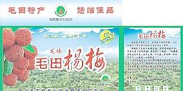 杨梅包装图片